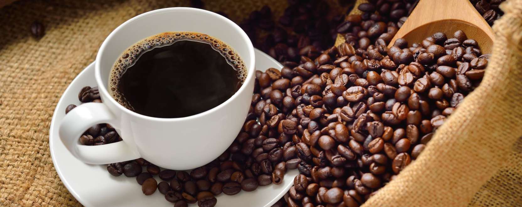 Okosfejlesztés a kávé szerelmeseinek 