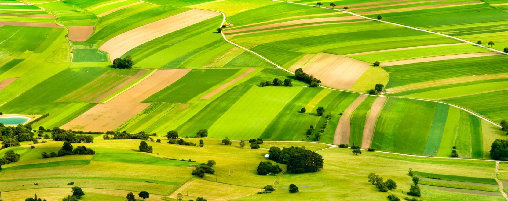 A mezőgazdaság jövőjét jelentheti az IoT4Ag