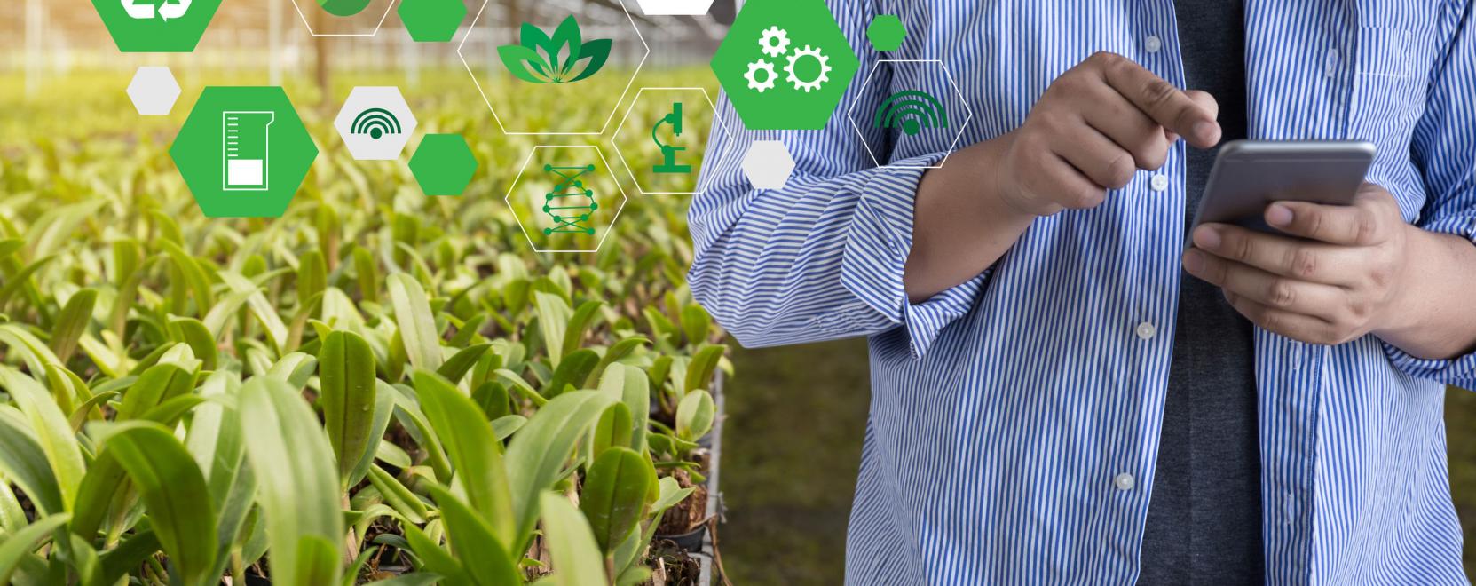 Fontos mentőöv lehet az IoT a mezőgazdaságban