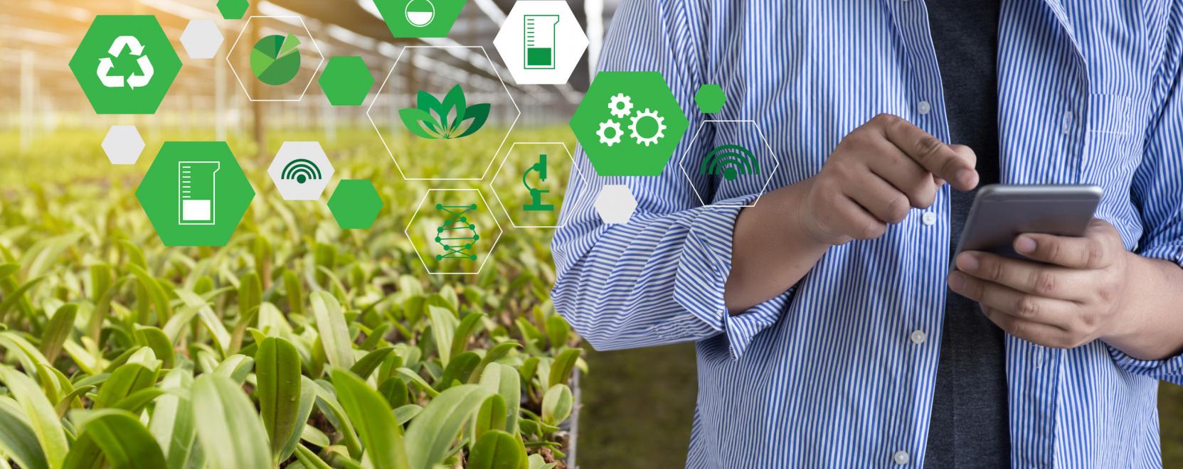 Vízkultúra és szőlészet: így segít az IoT a mezőgazdaságban