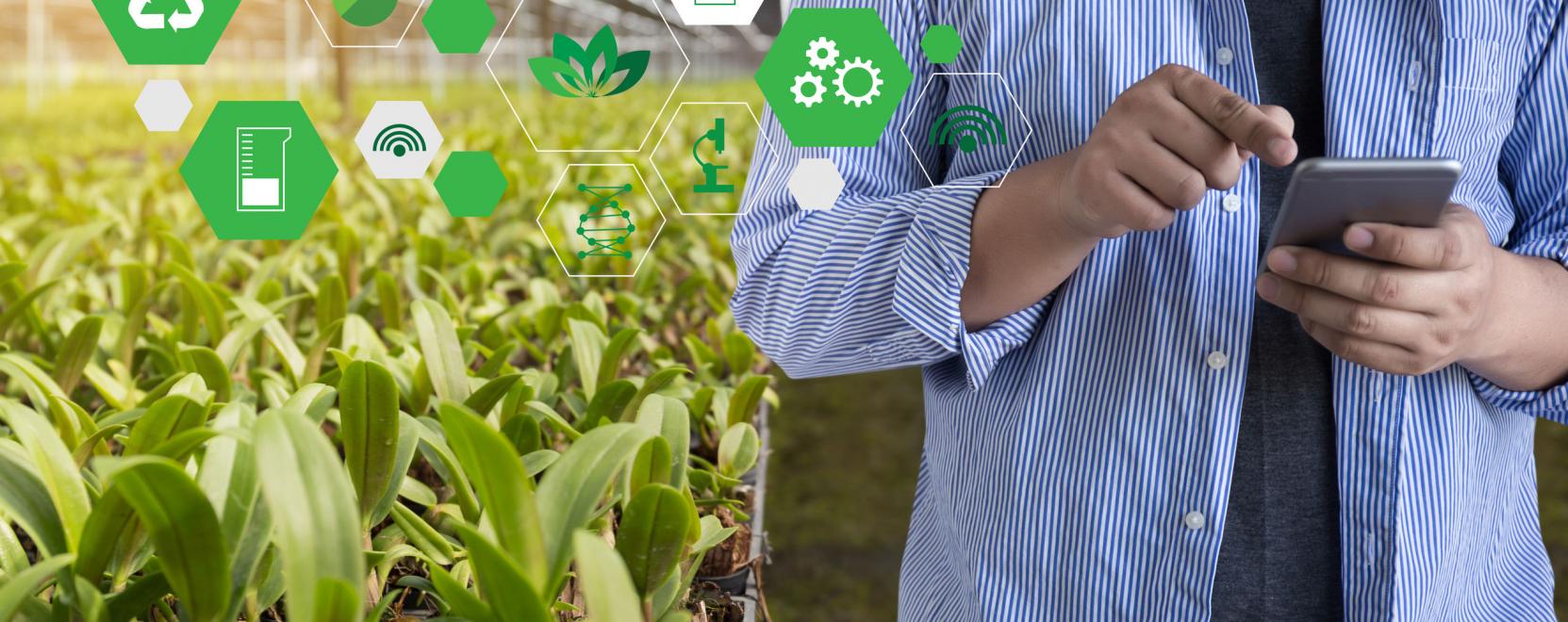 Mezőgazdaság 5.0: startupok fejlesztenek a NAK programjában