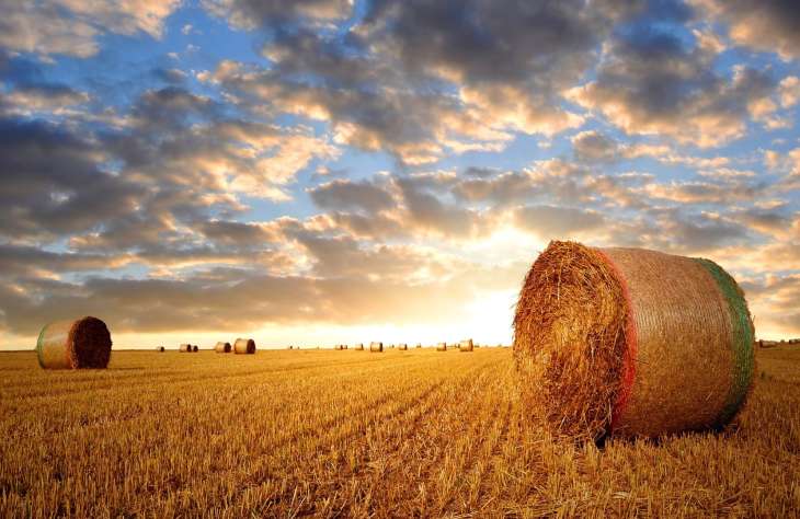 Mezőgazdaság 4.0: eljött a digitalizált farmok kora