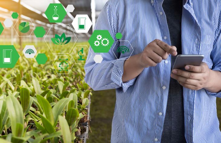 Fontos mentőöv lehet az IoT a mezőgazdaságban
