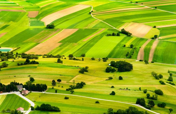 Hogyan változtatja meg az 5G a mezőgazdaság jövőjét?