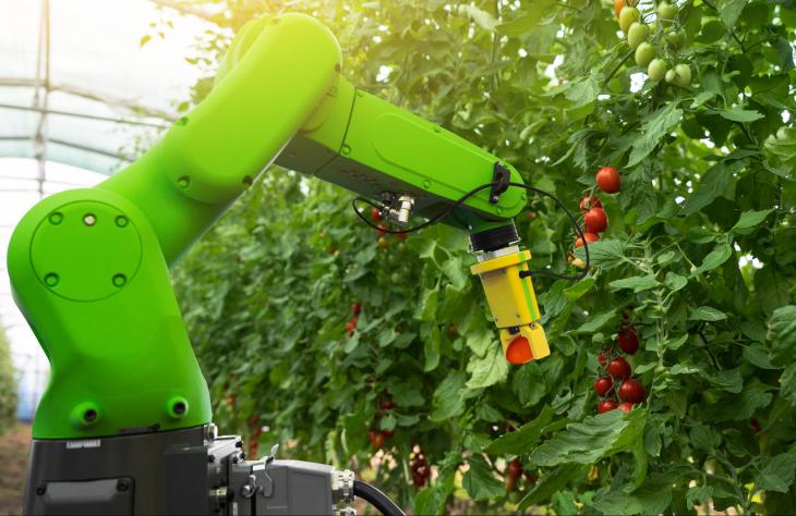 Robotkertész könnyítheti meg az üvegházi munkát
