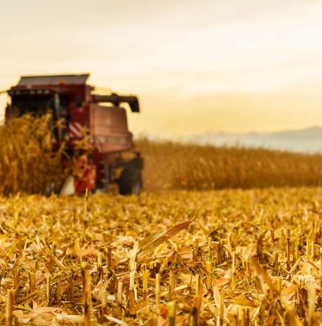 Digitális átállás a mezőgazdaságban