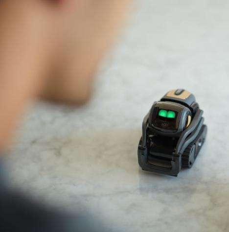 Vector: újabb versenyző a cuki robotok piacán