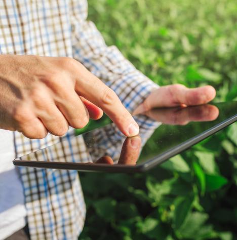 A jövő mezőgazdasága fenntartható és digitális