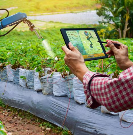 Új digitális megoldásokkal támogatja az agráriumot a NAK