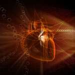 Szívünk védelmében: a mobil kardiológia jövője