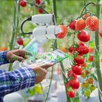Agrárstratégia: a digitalizáció a versenyképesség záloga